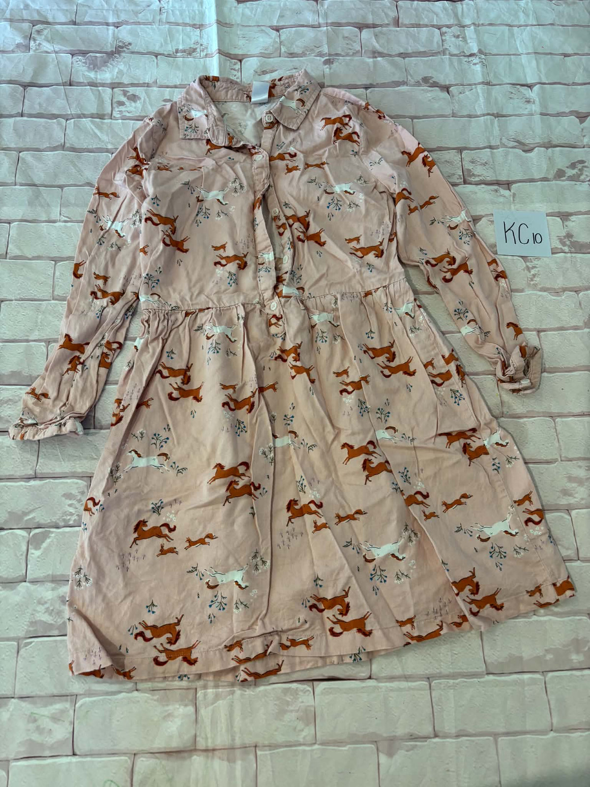 Dress Size 12