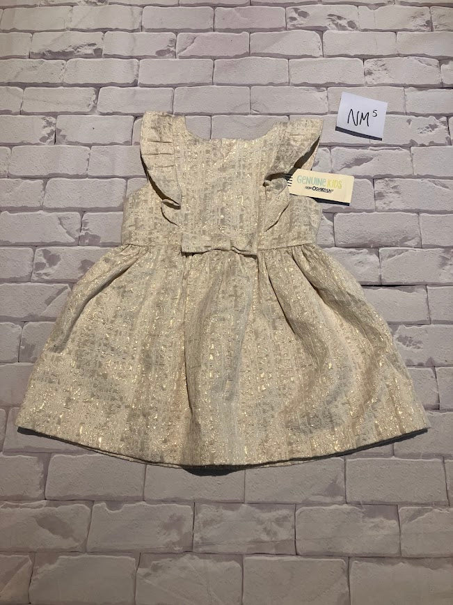 Dress Size 2T BNWT