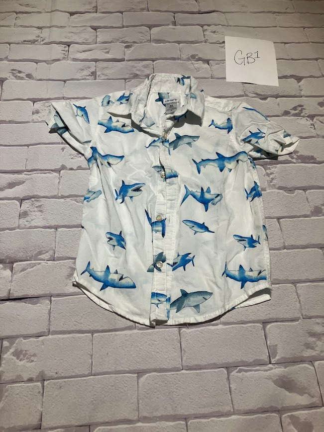 Boys Top Size 3T