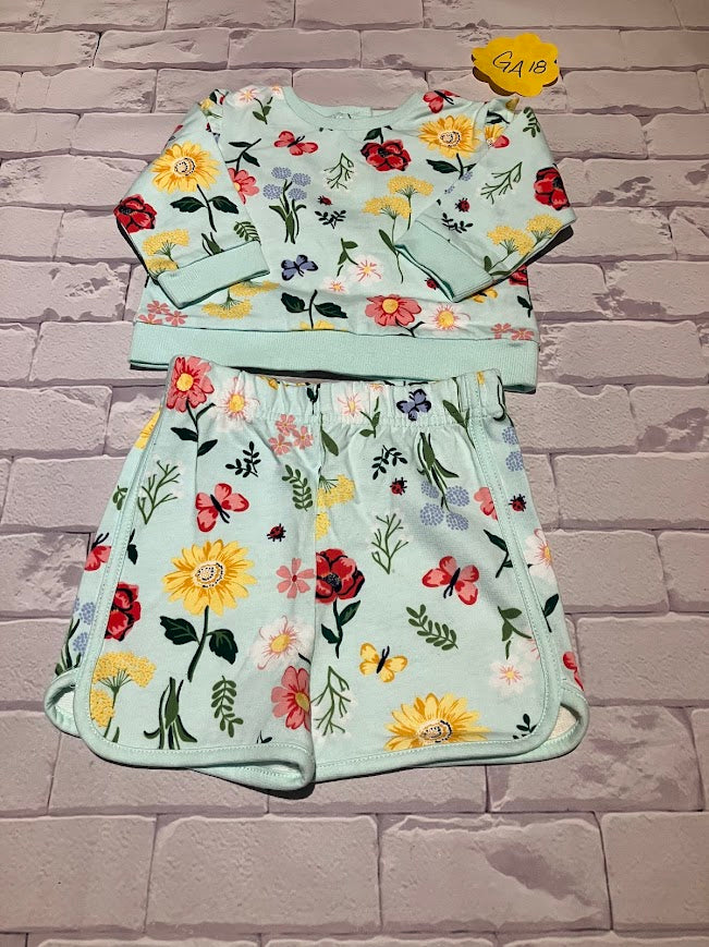 Girls Outfit Size 12m