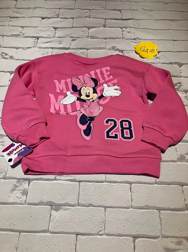 Girls Outfit Size 3T BNWT