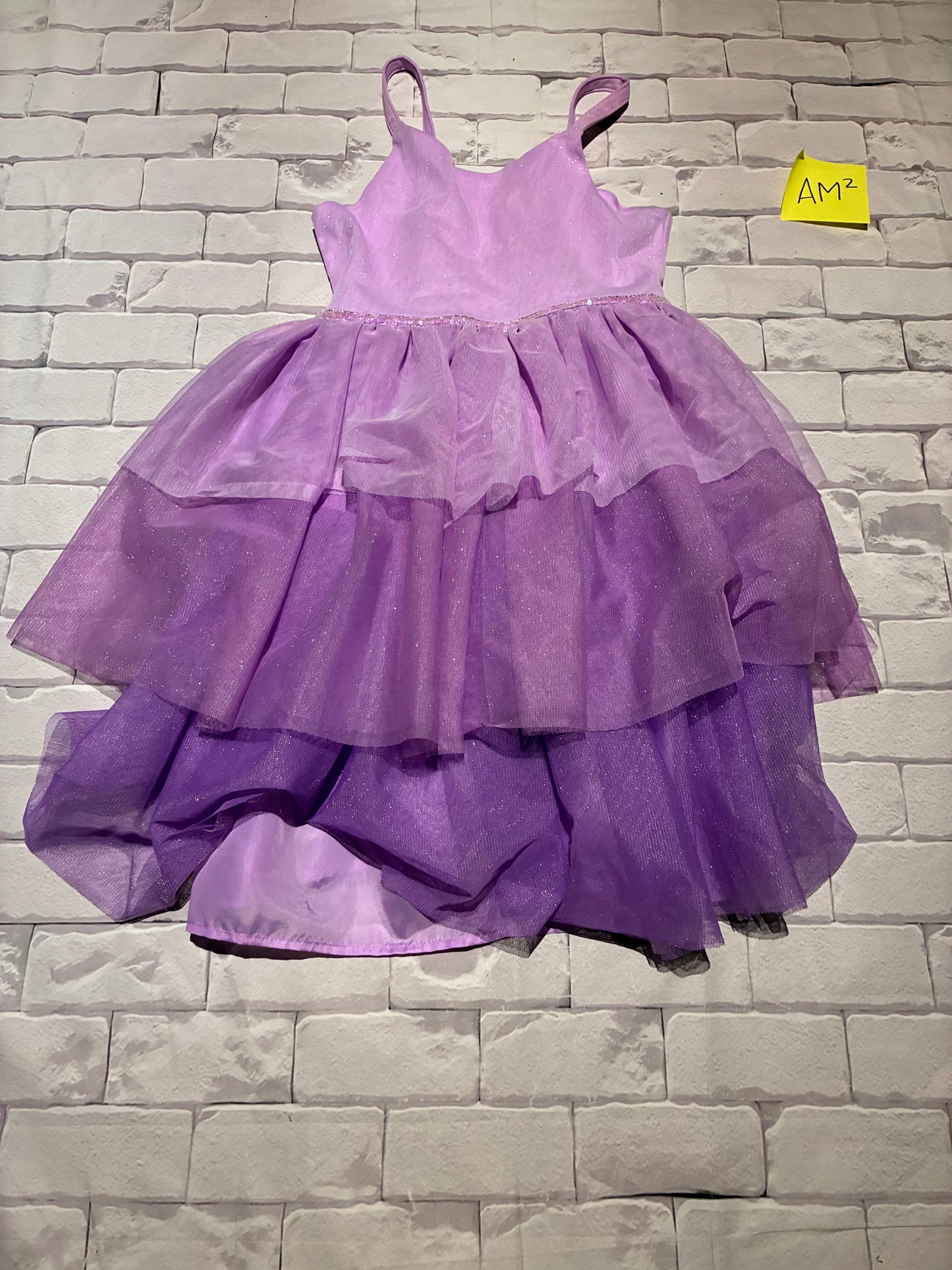 Dress Size 12