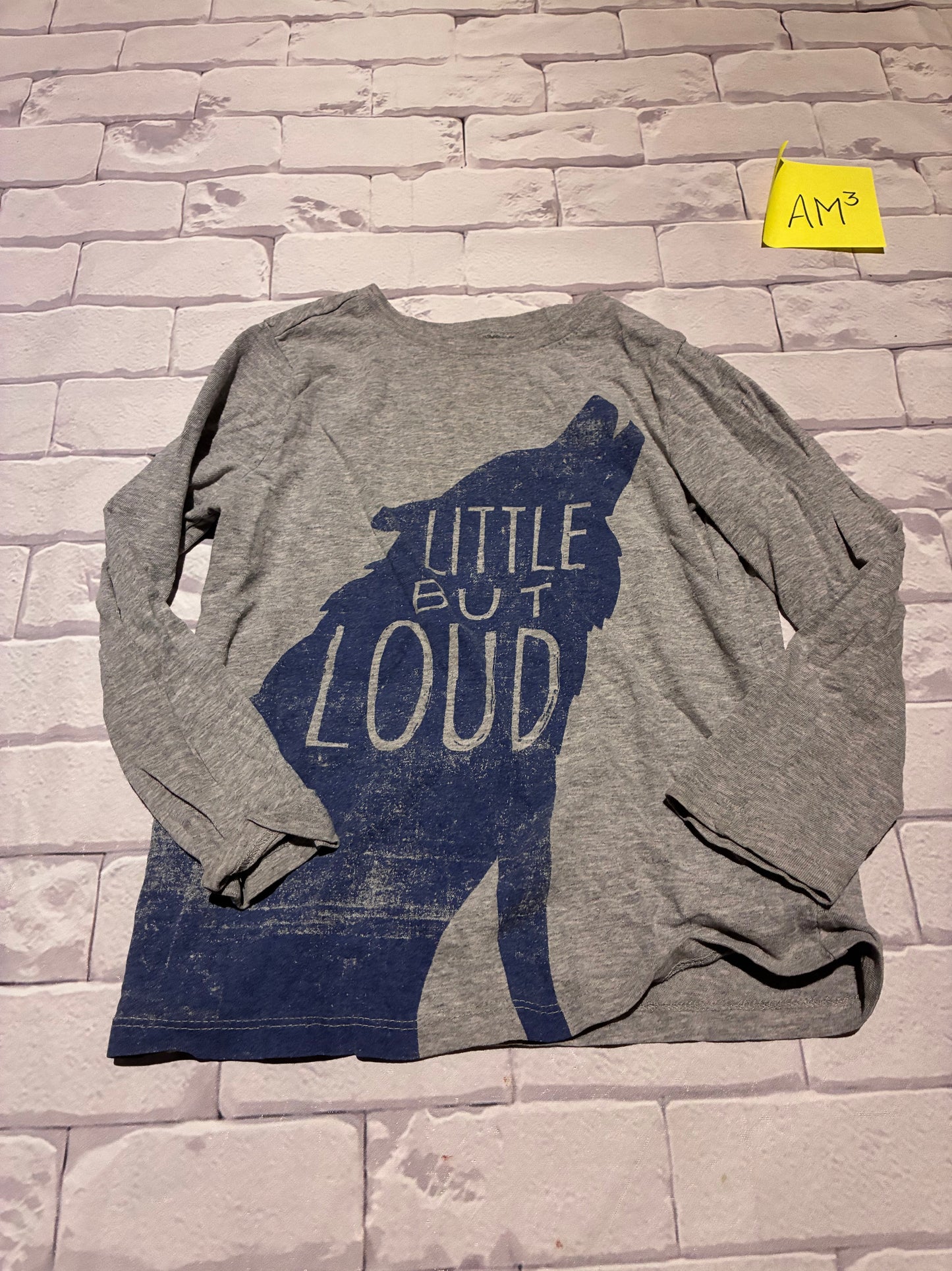 Top Size 5T