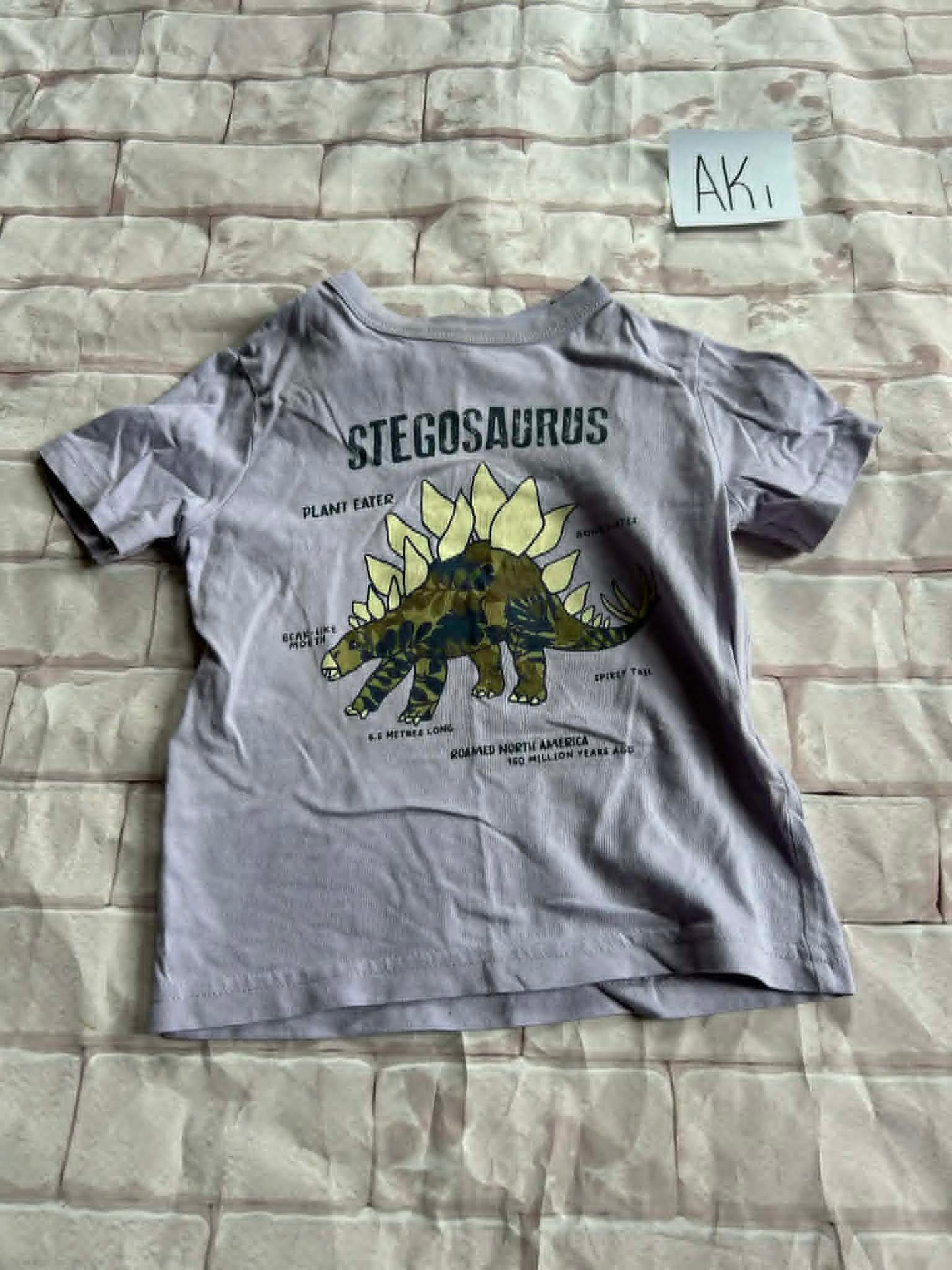 Tops Size 2