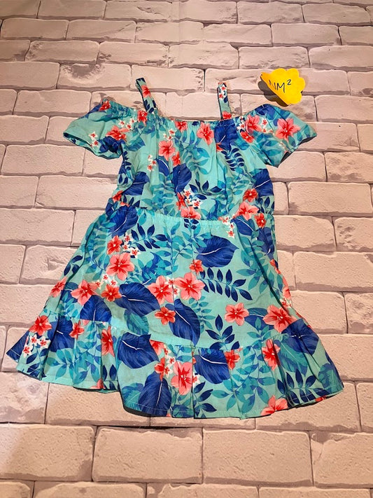Girls Dress Size 2T