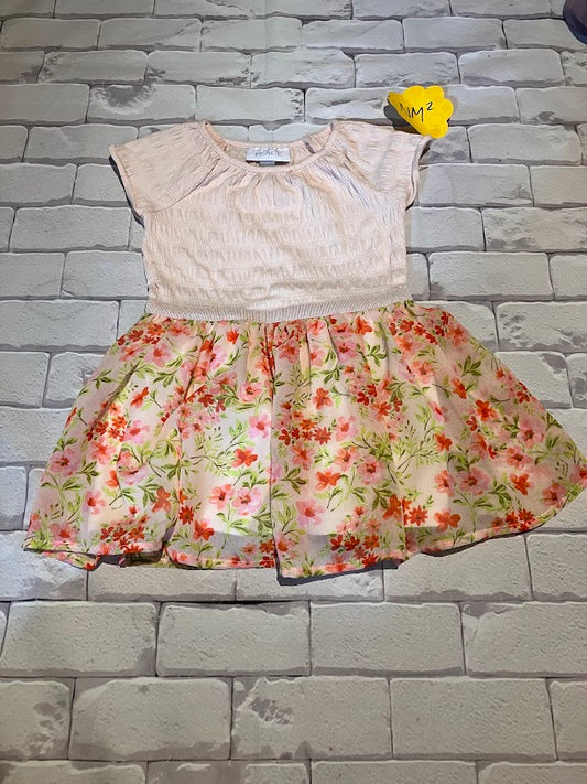 Girls Dress Size 2T