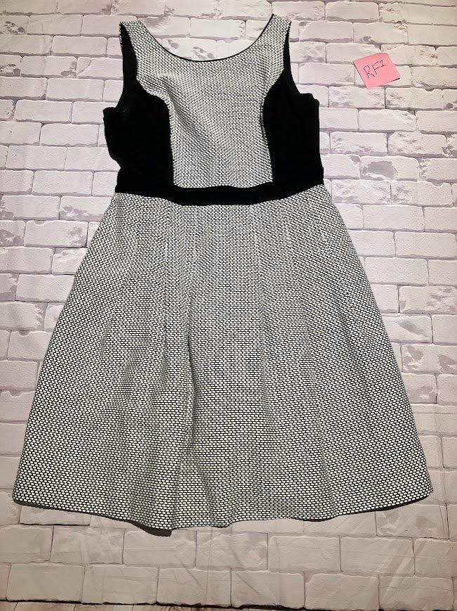Ladies Dress Size 12