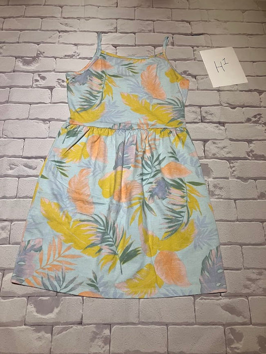 Dress Size 12