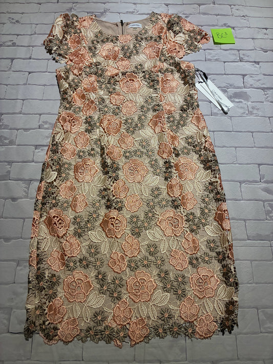 Ladies Dress Size 12 BNWT