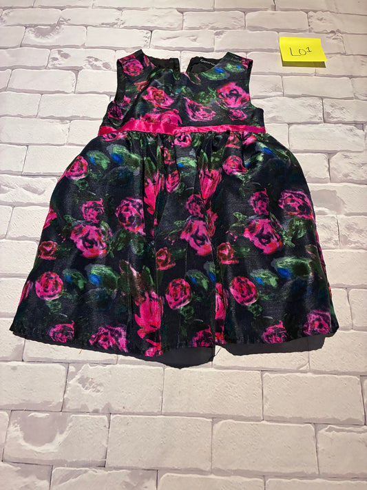 Dress Size 3T