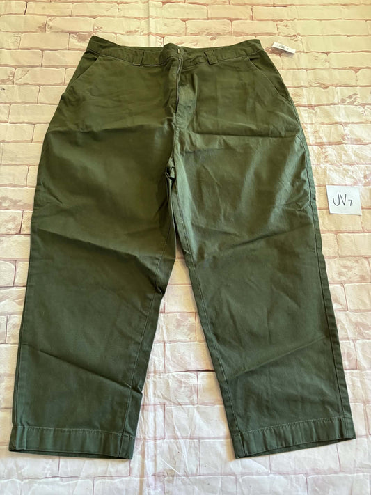 Ladies Bottoms Size 14 Petite Straight up Kahki BNWT