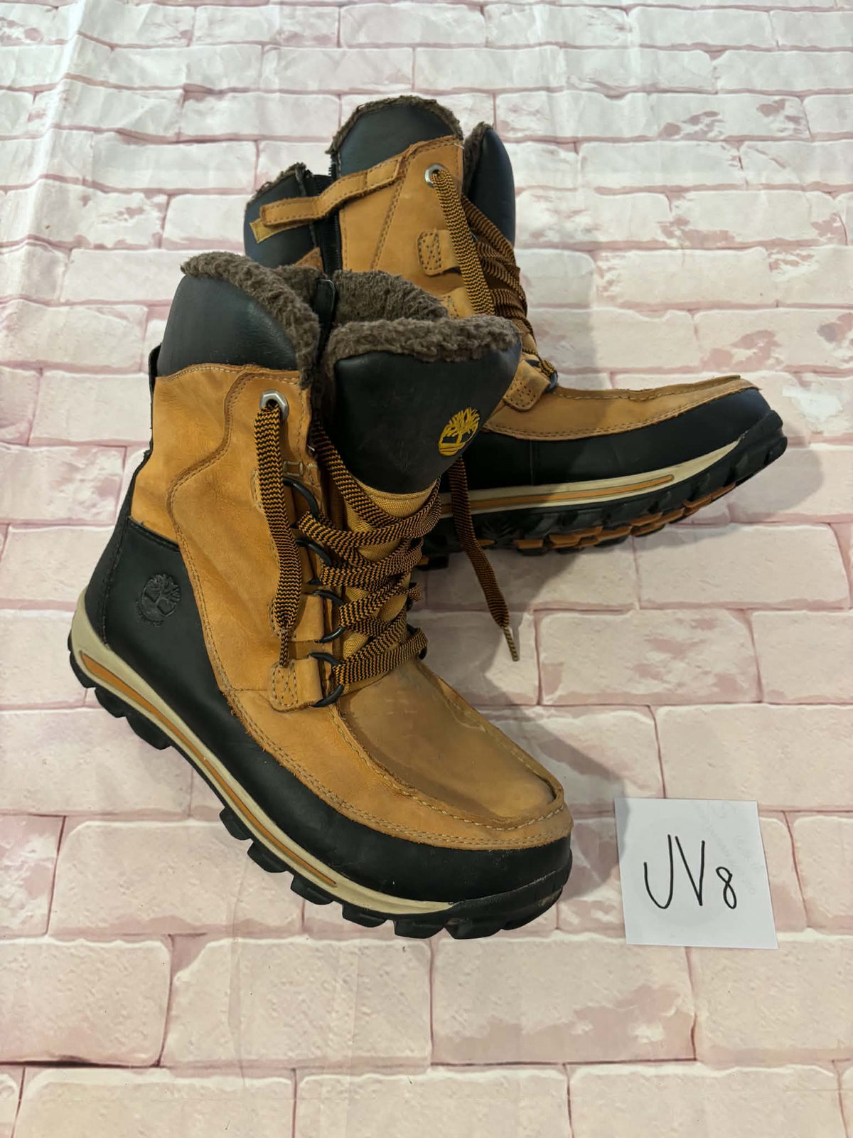 Shoes Size 5.5 Youth