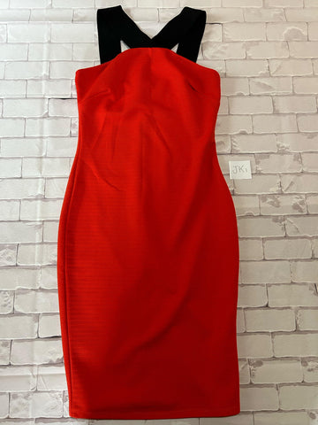 Ladies Dress Size 12